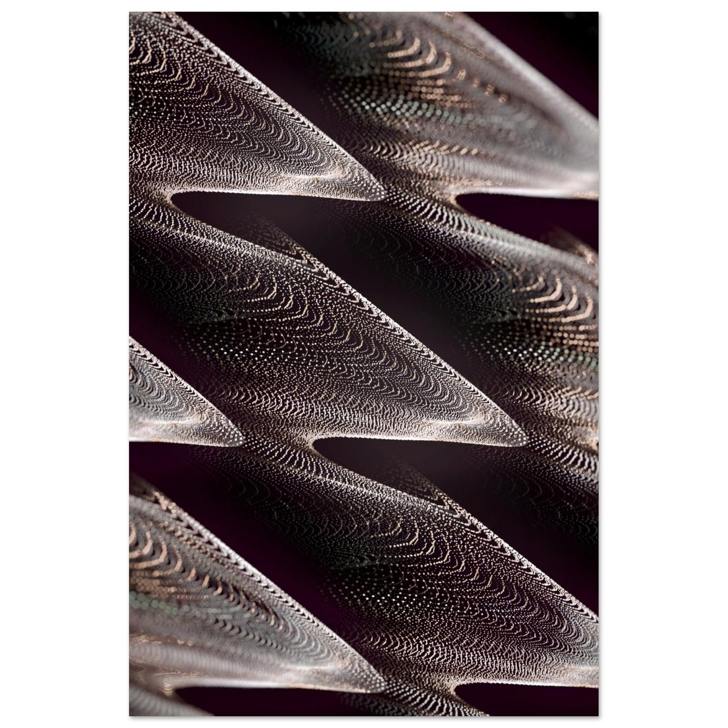 4a70a22d-1740-417d-ab30-4116f0186539